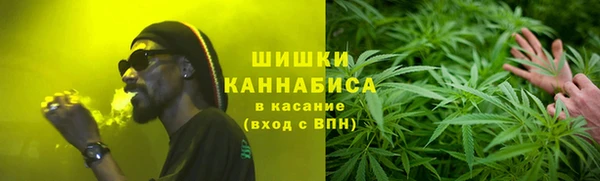 ГАЛЛЮЦИНОГЕННЫЕ ГРИБЫ Наволоки