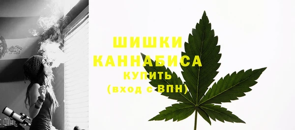 ГАЛЛЮЦИНОГЕННЫЕ ГРИБЫ Наволоки