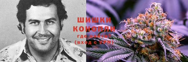 ГАЛЛЮЦИНОГЕННЫЕ ГРИБЫ Наволоки