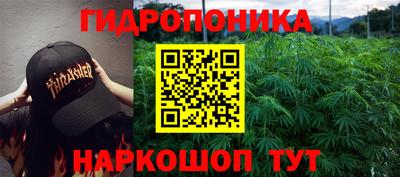тгк Гатчина