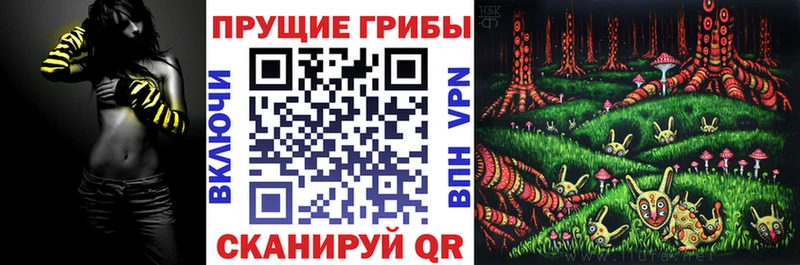 закладка  Кинель  нарко площадка клад  Галлюциногенные грибы GOLDEN TEACHER 