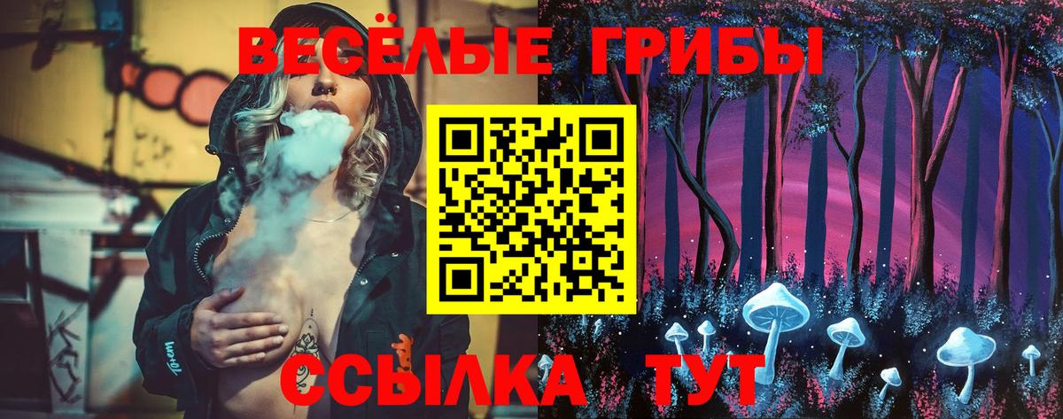 Галлюциногенные грибы GOLDEN TEACHER  как найти наркотики  Псилоцибиновые грибы Magic Shrooms  Кинель 