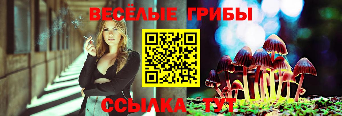 наркота  Псилоцибиновые грибы GOLDEN TEACHER  Вход с VPN  Кинель 